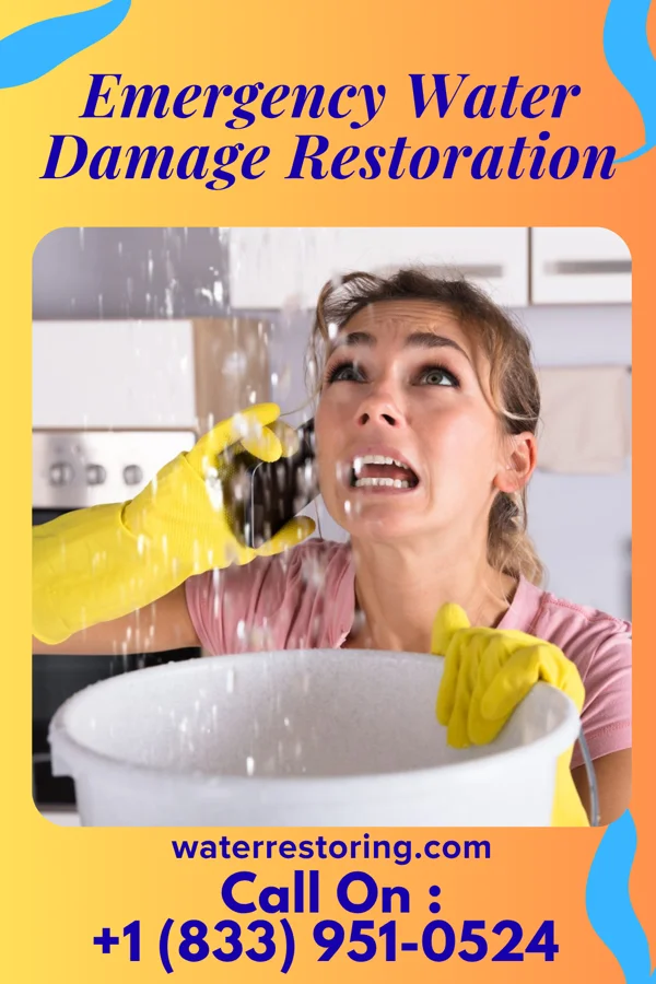 Emergency Water Damage Restoration in Peralta, NM