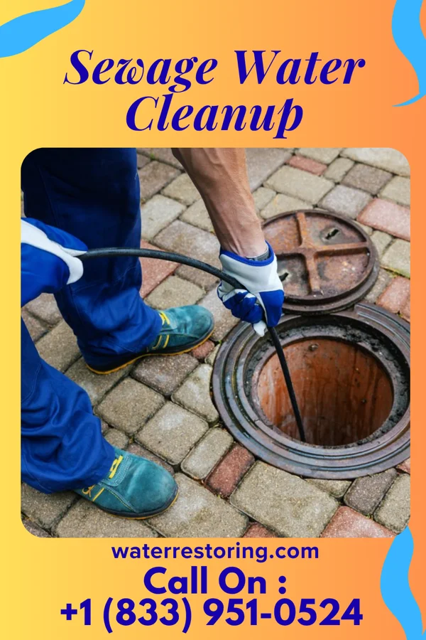 Sewage Water Cleanup in Peralta, NM