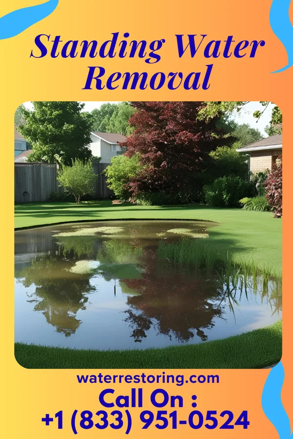 Standing Water Removal in Peralta, NM